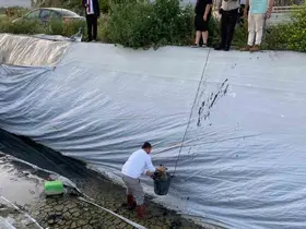Sulama havuzuna düşen 5 yavru köpeği belediye ekipleri kurtardı
