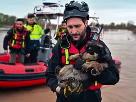 Sular altında kalan bağ evinde mahsur kalan iki köpeği belediye ekipleri kurtardı
