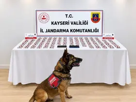 Şüphe üzerine durdurulan araçta bin 81 adet sentetik hap çıktı

