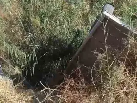 Tahliye kanalına düşen at kurtarıldı
