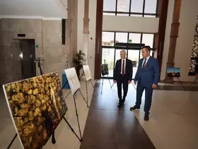 Tahmazoğlu’ndan 15 Temmuz gecesi yaşananları ölümsüzleştiren İHA’ya teşekkür
