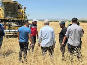 TAKEP kapsamında yüzde 75 hibe ile mercimek tohumuna müracaatlar başladı
