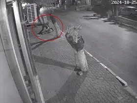 Takıntılı takip vahşetinde flaş karar: Serbest kalan saldırgana yeniden tutuklama yolu
