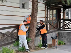 Talas’tan çevre dostu ilaçlama atağı
