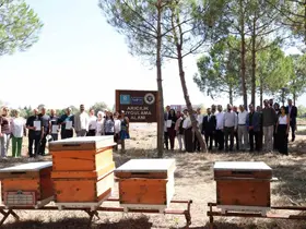 Tarım Akademisi’nde sertifika heyecan
