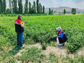 Tarım arazilerinin korunması çalışmaları sürüyor
