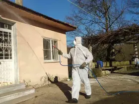 Tarım ve Orman İl Müdürlüğü’nden ‘Kahverengi Kokarca’ çağrısı
