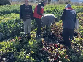 Tarımda kimyasalsız üretime yerinde inceleme
