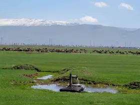 Tarımda önder üretici modeli vurgusu
