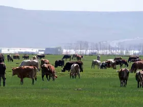 Tarımda üreticilere destekleme çağrısı
