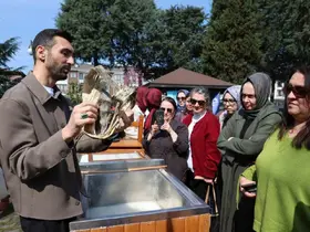 Tarımsal atıkların sanatsal kağıda dönüşüm yolculuğu
