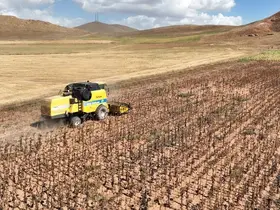Tarımsal girdi fiyatları yıllık yüzde 33,66 arttı
