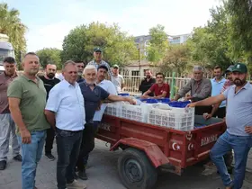 TARİŞ alımları erken kapattı, üretici tüccara tepki gösterdi
