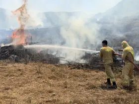 Tarla temizliği için yakılan ateş ormanlık alana sıçradı
