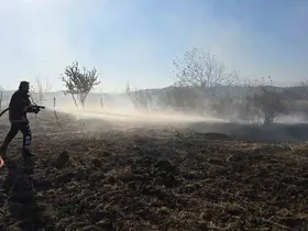 Tarlada çıkan yangın söndürüldü

