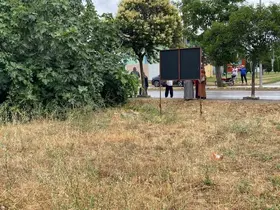 Tartıştığı amcasını palayla öldürdü
