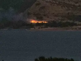 Tatvan’da orman yangını
