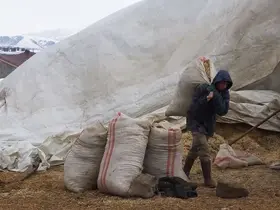 Tatvan’da yayladan besiye dönüş
