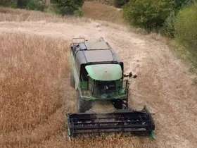 Tavşanlı’da aspir hasadı devam ediyor
