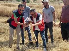 Tavşanlı’da biçerdöver kontrolleri sürüyor
