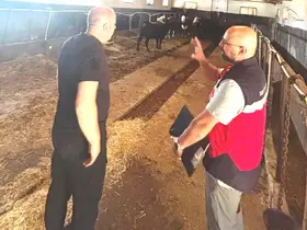 Tavşanlı’da Destek Projesi kapsamındaki ithal hayvanlar kontrolden geçirildi
