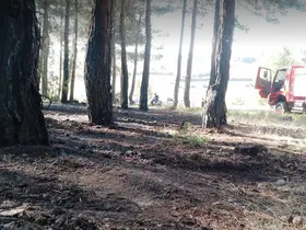 Tavşanlı’da erken müdahale ormanı kurtardı
