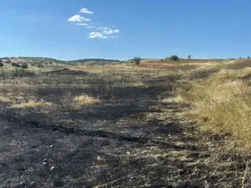 Tavşanlı’da hasat sırasında çıkan yangında 15 dönüm tarla kül oldu
