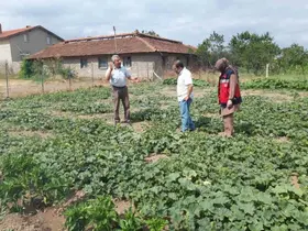 Tavşanlı’da tarım arazileri ve seralarda hastalık kontrolleri sürüyor
