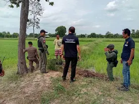 Tayland’da evcil köpek, eve el bombası getirdi
