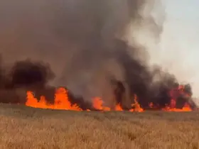 Tekirdağ İtfaiyesi 7 ayda 8 bin 157 olaya müdahale etti
