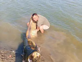 Tekirdağ’da 157 kiloluk yayın balığı yakalandı
