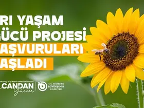 Tekirdağ’da arıcılara yem desteği başvuruları başladı
