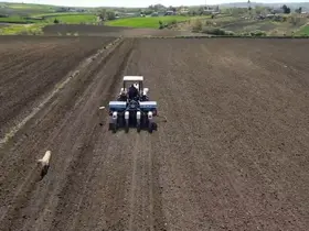 Tekirdağ’da ayçiçeği ekimi
