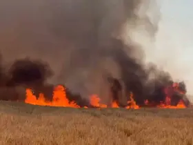 Tekirdağ’da buğday tarlalarına sıçrayan yangında 300 dönüm alan kül oldu
