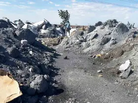 Tekirdağ’da çevre katliamı büyüyor

