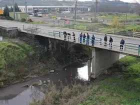 Tekirdağ’da çevreyi kirleten işletmelere 4,8 milyon TL ceza
