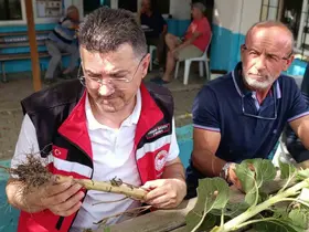 Tekirdağ’da dolunun vurduğu köylerde hasar tespit çalışmaları sürüyor
