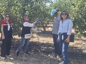 Tekirdağ’da hasat öncesi pestisit denetimleri yapılıyor
