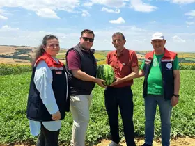Tekirdağ’da ilk karpuz hasadı başladı
