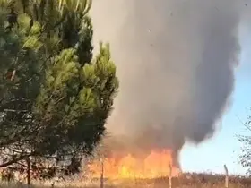 Tekirdağ’da korkutan yangın
