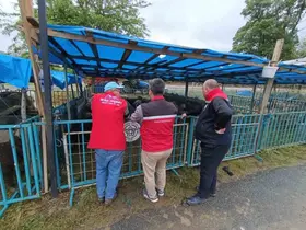 Tekirdağ’da kurbanlık satış yerlerinde sıkı denetim
