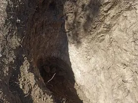 Tekirdağ’da mezarlıkta define aradılar
