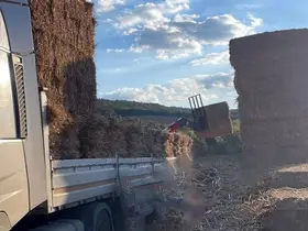 Tekirdağ’da Saman balyaları devrildi, 57 yaşındaki adam hayatını kaybetti
