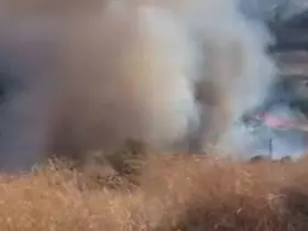 Tekirdağ’da yangında 80 dekar alan zarar gördü
