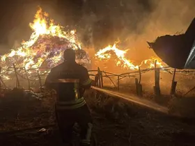 Tekman’da yangın; 2 bin 500 balya ot kül oldu
