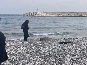 Telef olan caretta caretta halk plajına vurdu
