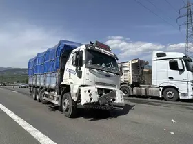 TEM’de tırdan kopan lastik kamyonun altına girdi
