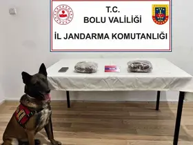 TEM’de yolcu otobüsünde 810 gram esrar ele geçirildi; 1 tutuklama
