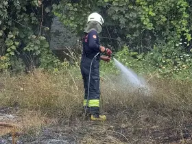 Temizlik ateşi yangına neden oldu
