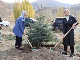 Tercan’da fidanlar toprakla buluştu
